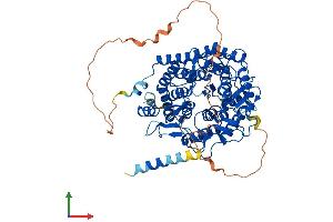 Protein Structure (PS) image for ER Degradation Enhancer, Mannosidase alpha-Like 1 (EDEM1) (AA 1-657) protein (His tag) (ABIN7553788)