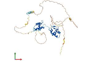 Protein Structure (PS) image for Paired Box 5 (PAX5) (AA 1-391) protein (His tag) (ABIN7550633)
