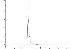 The purity of Mouse ITGA1&ITGB1 is greater than 95 % as determined by SEC-HPLC. (Integrin alpha A1 beta 1 (ITGA1 & ITGB1) Heterodimer (AA 29-1141) protein (His tag))
