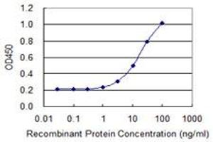 Detection limit for recombinant GST tagged HOXA1 is 0. (HOXA1 antibody  (AA 11-119))