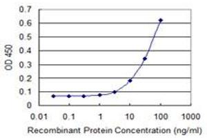 Detection limit for recombinant GST tagged ETNK1 is 1 ng/ml as a capture antibody. (Ethanolamine Kinase 1 antibody  (AA 133-228))