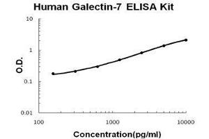 Human Galectin-7 PicoKine ELISA Kit standard curve