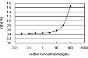 Sandwich ELISA detection sensitivity ranging from 3 ng/mL to 100 ng/mL. (IDO1 (Human) Matched Antibody Pair)