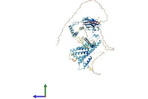 AlphaFold protein structure predicition of Mouse Recombinant Cactin Protein, UniprotID Q9CS00
