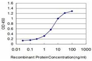 Detection limit for recombinant GST tagged FOXQ1 is approximately 0. (FOXQ1 antibody  (AA 110-219))