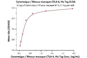 Immobilized Cynomolgus / Rhesus macaque B7-1, Fc Tag (ABIN2870586,ABIN2870587) at 2 μg/mL (100 μL/well) can bind Cynomolgus / Rhesus macaque CTLA-4, His Tag (ABIN2180926,ABIN2180925) with a linear range of 0.