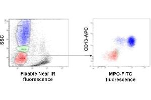 Two-day-old whole blood was lysed with ammonium chloride. (FIX&PERM® Solution A (Fix))