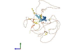 Protein Structure (PS) image for Nuclear Factor (erythroid-Derived 2)-Like 3 (NFE2L3) (AA 1-660) protein (His tag) (ABIN7556240)