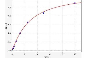Typical standard curve (DDR1 ELISA Kit)