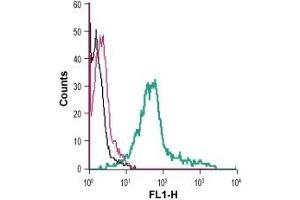Cell surface detection of GLP1R in live intact human MEG-01 megakaryoblastic leukemia cells: (black line) Cells. (GLP1R antibody  (2nd Extracellular Loop) (FITC))