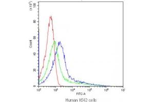 Flow cytometry testing of human K562 cells with CYP1A1 antibody at 1ug/10^6 cells (blocked with goat sera) (CYP1A1 antibody  (AA 183-320))