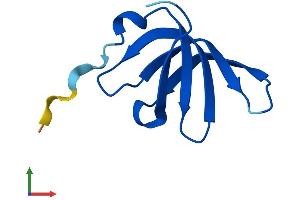 AlphaFold protein structure predicition of Human Recombinant SNRPG Protein, UniprotID P62308 (SNRPG Protein (AA 1-76) (Fc Tag))