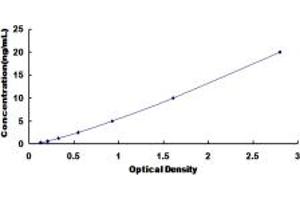 Typical standard curve (CAPN10 ELISA Kit)