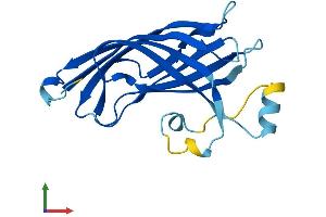 AlphaFold protein structure predicition of Mouse Recombinant B9d2 Protein, UniprotID Q3UK10