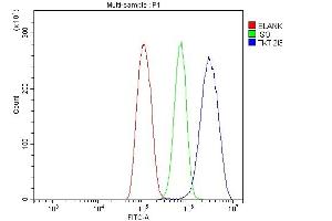Flow Cytometry analysis of THP-1 cells using anti-Transketolase/TKT antibody (ABIN7598957). (TKT antibody  (AA 1-116))