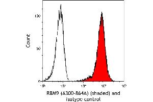 anti-RNA Binding Motif Protein 9 (RBM9) (AA 1-50) antibody
