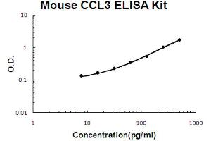 Mouse CCL3/MIP1 alpha Accusignal ELISA Kit Mouse CCL3/MIP1 alpha AccuSignal ELISA Kit standard curve. (CCL3 ELISA Kit)