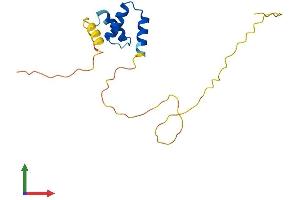 AlphaFold protein structure predicition of Mouse Recombinant Mzt2 Protein, UniprotID Q9CQ25 (MZT2 Protein (AA 1-159) (His tag))