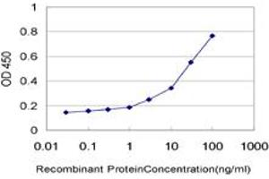 Detection limit for recombinant GST tagged KPTN is approximately 1ng/ml as a capture antibody. (KPTN antibody  (AA 1-436))