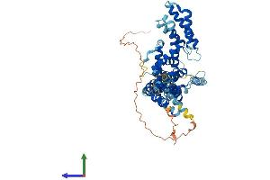 AlphaFold protein structure predicition of Human Recombinant TCP11L2 Protein, UniprotID Q8N4U5