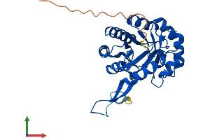 AlphaFold protein structure predicition of Human Recombinant CUTC Protein, UniprotID Q9NTM9