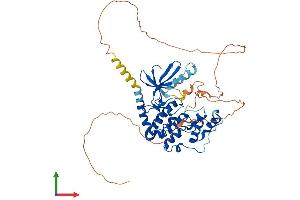 AlphaFold protein structure predicition of Human Recombinant CDKL2 Protein, UniprotID Q92772