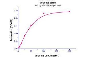 Immobilized  Human VEGF165  with a linear range of 3-50 ng/mL.