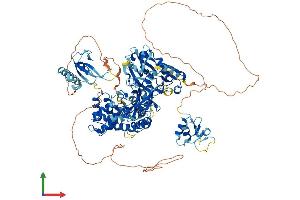 Protein Structure (PS) image for Ligase III, DNA, ATP-Dependent (LIG3) (AA 1-1015) protein (His tag) (ABIN7563546)