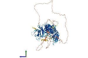 AlphaFold protein structure predicition of Human Recombinant MAP4K3 Protein, UniprotID Q8IVH8 (MAP4K3 Protein (AA 1-894) (His tag))