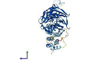 AlphaFold protein structure predicition of Human Recombinant KLHL33 Protein, UniprotID A6NCF5