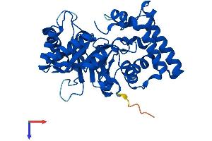 Aldo-Keto Reductase Family 7-Like (AKR7L) (AA 1-331) protein (His tag)