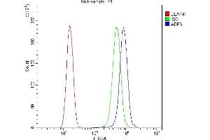 Flow Cytometry analysis of SiHa cells using anti-ARF6 antibody (ABIN4886473). (ARF6 antibody  (AA 2-175))