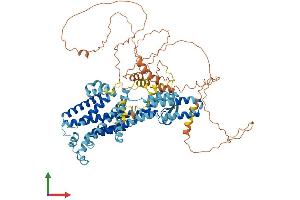Protein Structure (PS) image for Putative Homeodomain Transcription Factor 1 (PHTF1) (AA 1-761) protein (His tag) (ABIN7561807)