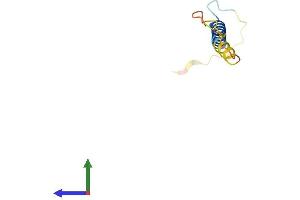 Protein Structure (PS) image for FXYD Domain Containing Ion Transport Regulator 7 (FXYD7) (AA 1-80) protein (Fc Tag) (ABIN7556551)
