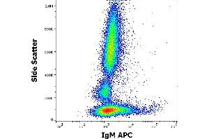 Flow cytometry surface staining pattern of human peripheral whole blood stained using anti-human IgM (CH2) APC antibody (concentration in sample 0,6 μg/mL). (Mouse anti-Human IgM Antibody (APC))