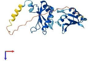 AlphaFold protein structure predicition of Human Recombinant SNRPB2 Protein, UniprotID P08579 (SNRPB2 Protein (AA 1-225) (His tag))
