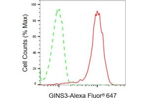 anti-GINS Complex Subunit 3 (Psf3 Homolog) (GINS3) antibody