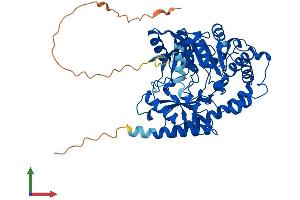 Protein Structure (PS) image for ACC Synthase-Like Protein 1 (ACCS) (AA 1-502) protein (His tag) (ABIN7561916)
