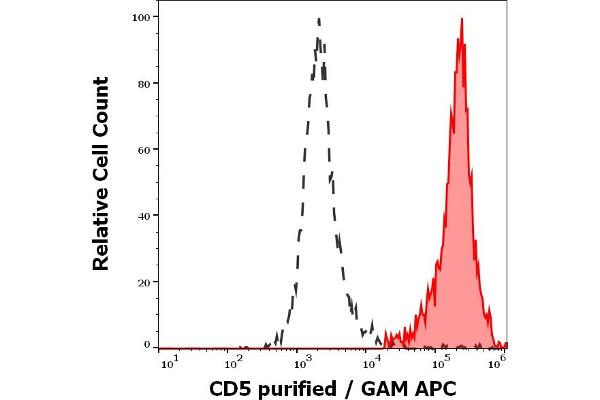 CD5 antibody