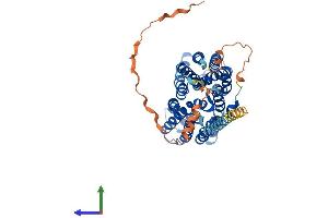 AlphaFold protein structure predicition of Human Recombinant SLC16A10 Protein, UniprotID Q8TF71 (SLC16A10 Protein (AA 1-515) (His tag))