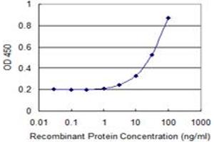 Detection limit for recombinant GST tagged SLC28A2 is 1 ng/ml as a capture antibody.