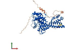 Protein Structure (PS) image for SET Domain Containing 3 (SETD3) (AA 1-594) protein (His tag) (ABIN7546079)