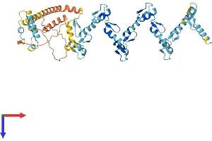 AlphaFold protein structure predicition of Human Recombinant ZNF430 Protein, UniprotID Q9H8G1