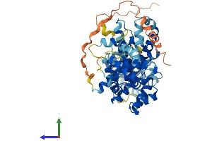 Protein Structure (PS) image for Primase, DNA, Polypeptide 2 (58kDa) (PRIM2) (AA 1-509) protein (His tag) (ABIN7550922)
