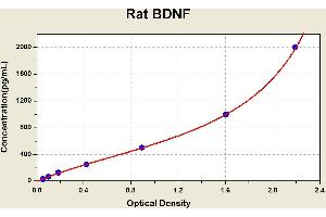 Diagramm of the ELISA kit to detect Rat BDNFwith the optical density on the x-axis and the concentration on the y-axis. (BDNF ELISA Kit)