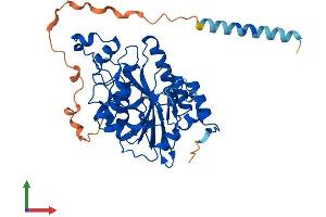 AlphaFold protein structure predicition of Human Recombinant B3GNT7 Protein, UniprotID Q8NFL0 (B3GNT7 Protein (AA 1-401) (His tag))