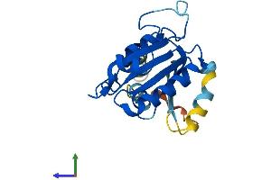Protein Structure (PS) image for SAR1 Homolog B (SAR1B) (AA 1-198) protein (His tag) (ABIN7560531)