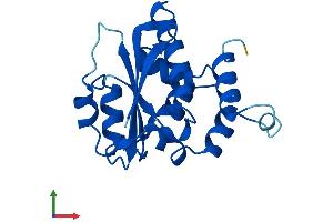Protein Structure (PS) image for TP53RK Binding Protein (TPRKB) (AA 1-175) protein (His tag) (ABIN7559606)