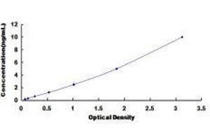 ELISA image for Growth Differentiation Factor 5 (GDF5) ELISA Kit (ABIN3156998) (GDF5 ELISA Kit)