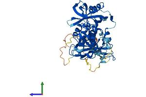 AlphaFold protein structure predicition of Mouse Recombinant Crbn Protein, UniprotID Q8C7D2 (CRBN Protein (AA 1-445) (His tag))